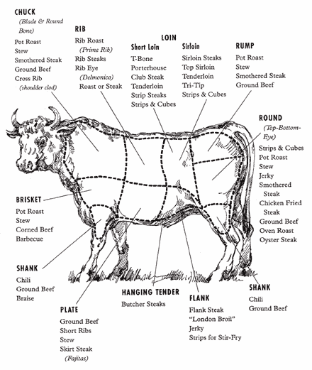 Basic Beef Facts