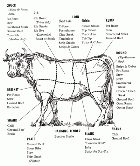 Image result for betty crocker cow diagram